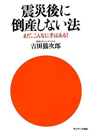 震災後に倒産しない法 まだ、こんなに手はある！