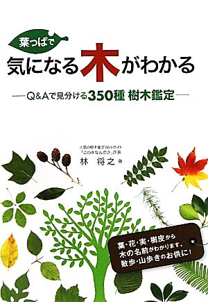 葉っぱで気になる木がわかる Q&Aで見分ける350種樹木鑑定