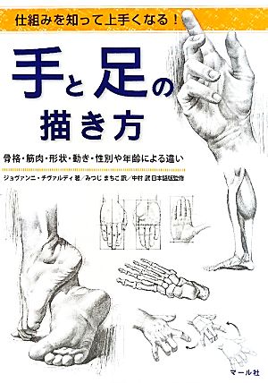 手と足の描き方仕組みを知って上手くなる！骨格・筋肉・形状・動き・性別や年齢による違い