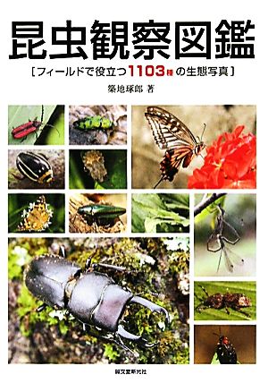 昆虫観察図鑑フィールドで役立つ1103種の生態写真