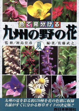 九州の野の花 (夏) 色で見分ける