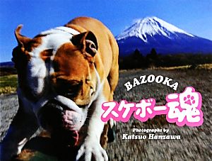 BAZOOKAスケボー魂