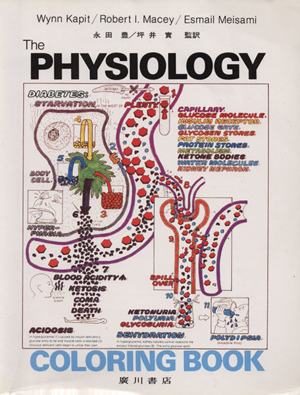 カラースケッチ生理学