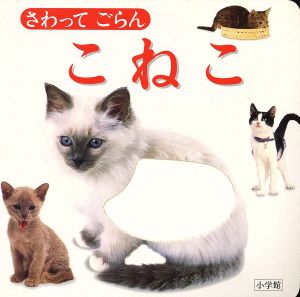 こねこ