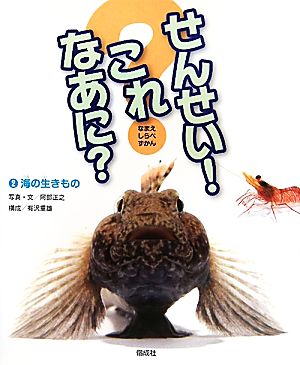 せんせい！これなあに？(2) 海の生きもの なまえしらべずかん