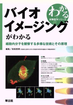 バイオイメージングがわかる 細胞内分子を観察する多様な技術とその原理