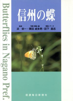 信州の蝶