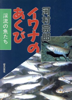 イワナのあくび 渓流の魚たち