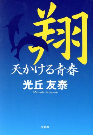 翔 天かける青春