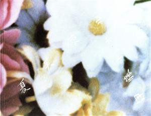 夏芙蓉 沖縄2003