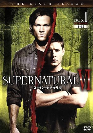 SUPERNATURAL Ⅵ＜シックス・シーズン＞ コンプリート・ボックス(2BOXセット)