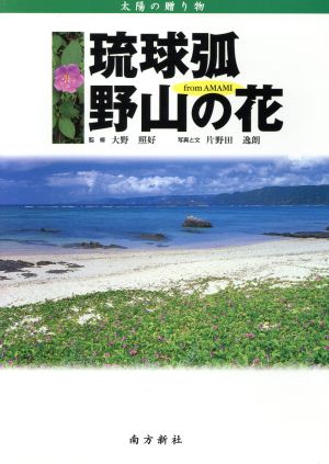 琉球弧・野山の花from Amami 太陽の贈り物