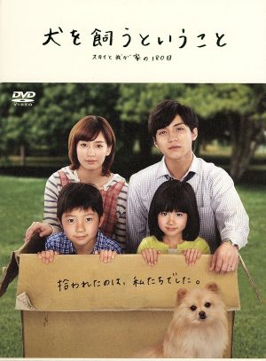 犬を飼うということ～スカイと我が家の180日～DVD-BOX 中古DVD 