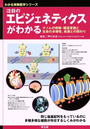 注目のエピジェネティクスがわかる WJ22 わかる実験医学シリーズ