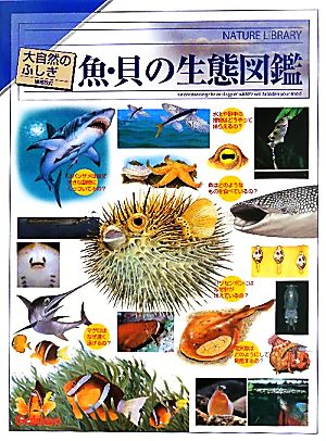 魚・貝の生態図鑑 大自然のふしぎ