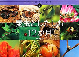 昆虫としたしむ12か月 生きものカレンダー2