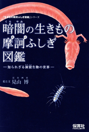 暗闇の生きもの 摩訶ふしぎ図鑑 知られざる洞窟生物の世界 生きもの摩訶ふしぎ図鑑