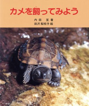 カメを飼ってみよう やさしい科学