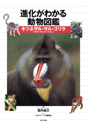 進化がわかる動物図鑑 キツネザル・サル・ゴリラ
