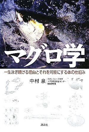 マグロ学 一生泳ぎ続ける理由とそれを可能にする体の仕組み