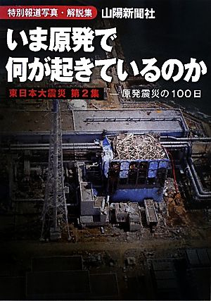 いま原発で何が起きているのか(第2集) 原発震災の100日 特別報道写真・解説集 東日本大震災