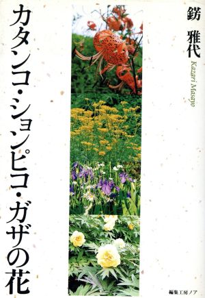 カタンコ・ションピコ・ガザの花