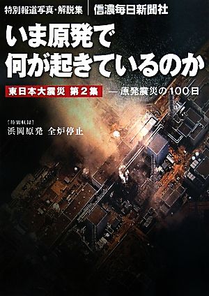 いま原発で何が起きているのか(第2集) 原発震災の100日 特別報道写真・解説集 東日本大震災