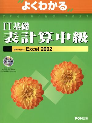 IT基礎表計算中級Microsoft Excel 2002