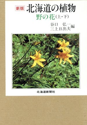 北海道の植物 野の花