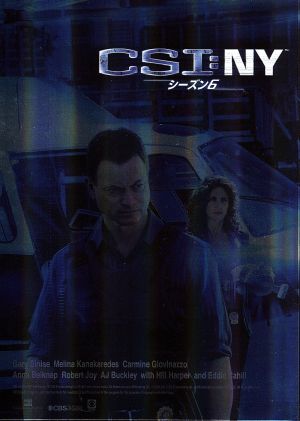 CSI:NY シーズン6 コンプリートDVD BOX-Ⅱ