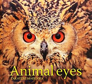 Animal eyes