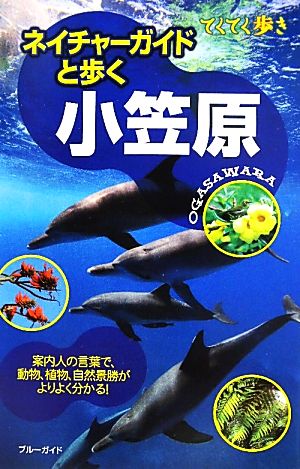 ネイチャーガイドと歩く 小笠原 ブルーガイドてくてく歩き