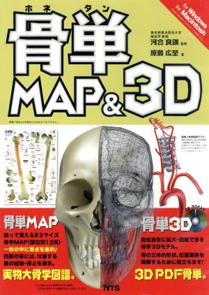 CD-ROM 骨単Map & 3D HY版