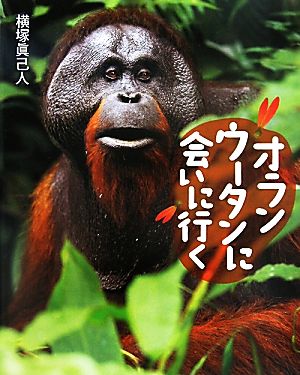 オランウータンに会いに行く