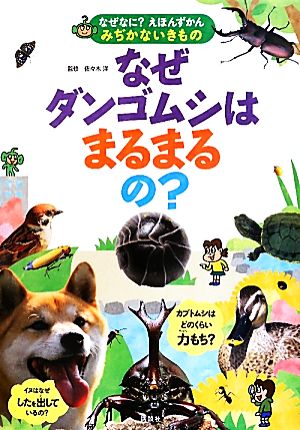 なぜダンゴムシはまるまるの？ なぜなに？えほんずかんみぢかないきもの