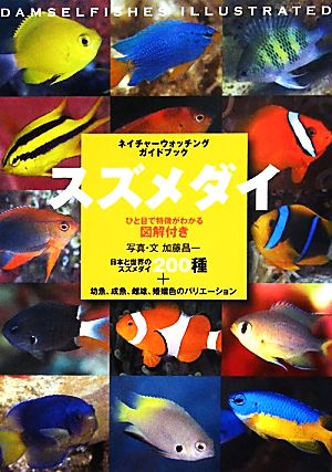 スズメダイ ひと目で特徴がわかる図解付き ネイチャーウォッチングガイドブック