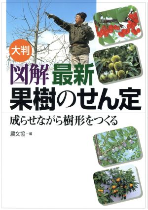 図解最新果樹のせん定 成らせながら樹形をつくる