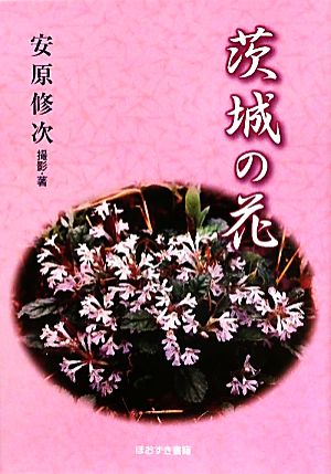 茨城の花