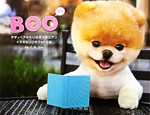 BOO テディベアみたいなポメラニアンイヌのBOOのフォト日記