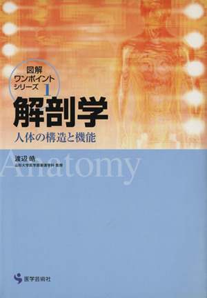 解剖学 人体の構造と機能 図解ワンポイント・シリーズ1