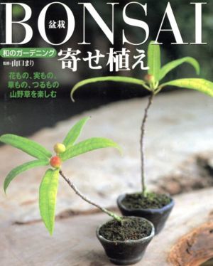 Bonsai(盆栽)寄せ植え 和のガーデニング