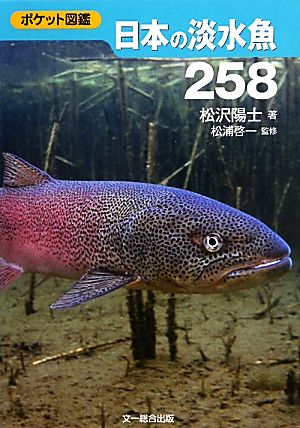 日本の淡水魚258