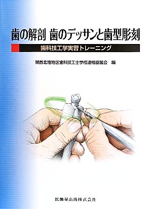 歯の解剖 歯のデッサンと歯型彫刻 歯科技工学実習トレーニング