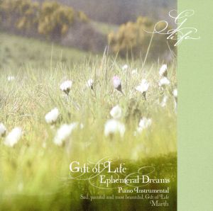 はかなき夢/GIFT OF LIFE命のおくりもの