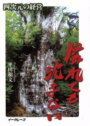 揺れても沈まない 四次元の経営