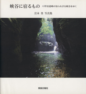 峡谷に宿るもの 八甲田連峰の知られざる峡谷をゆく 岩木登写真集