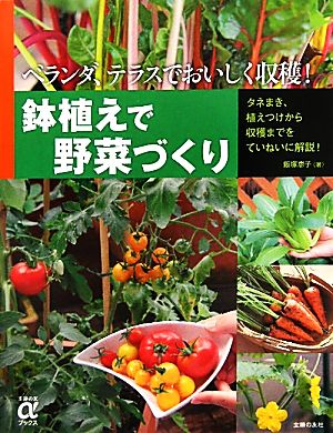 鉢植えで野菜づくり ベランダ、テラスでおいしく収穫！ 主婦の友αブックス