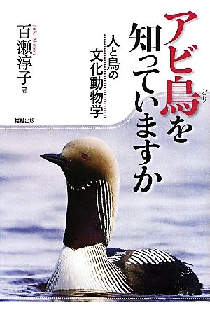 アビ鳥を知っていますか 人と鳥の文化動物学