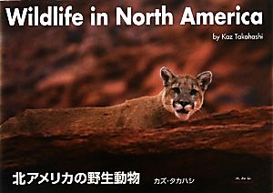 北アメリカの野生動物