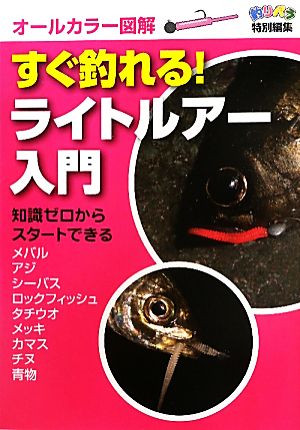 すぐ釣れる！ライトルアー入門 オールカラー図解